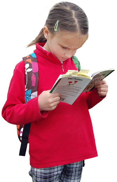 Girl reading a book