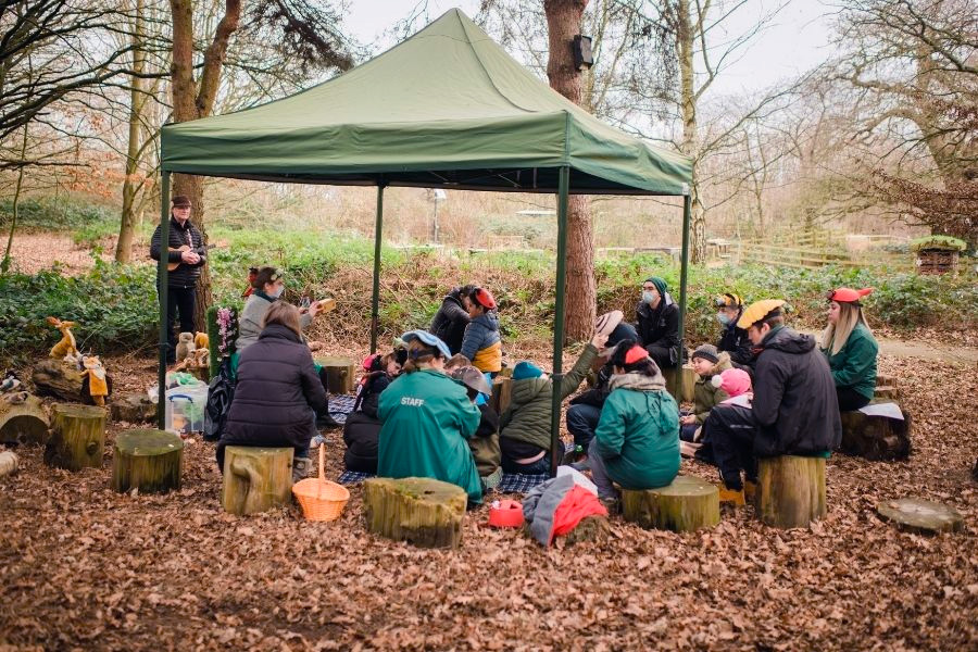 Group activity in the forest at Autumn